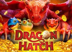 Exciting Dragon Hatch casino game with colorful dragons and gold coins.
